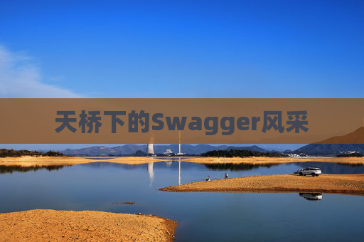 天桥下的Swagger风采